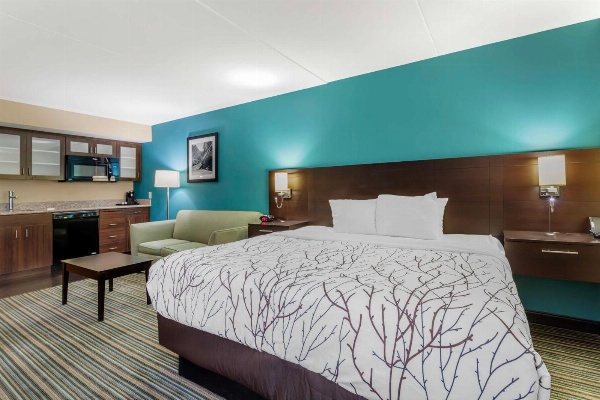 Best Western Plus Knoxville Cedar Bluff image 7
